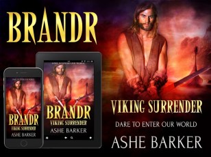 Viking-Surrender-AB-Brandr-poster
